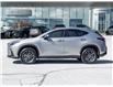 2025 Lexus NX 350h  (Stk: 15105671A) in Richmond Hill - Image 4 of 28