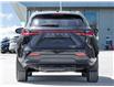 2025 Lexus NX 350h  (Stk: 15T1805A) in Richmond Hill - Image 7 of 28