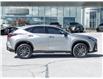 2025 Lexus NX 350h  (Stk: 15105671A) in Richmond Hill - Image 6 of 28