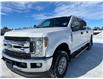 2018 Ford F-250 XLT (Stk: U72342) in Hague - Image 4 of 13