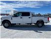 2018 Ford F-250 XLT (Stk: U72342) in Hague - Image 5 of 13