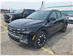 2025 Hyundai Santa Cruz Preferred (Stk: 43856J) in Belleville - Image 1 of 8