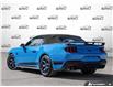 2024 Ford Mustang GT Premium (Stk: 803287) in St. Catharines - Image 4 of 25