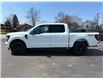2026 Ford F-150 XLT (Stk: 26052) in Amherstburg - Image 2 of 20
