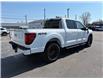2026 Ford F-150 XLT (Stk: 26052) in Amherstburg - Image 6 of 20