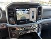 2026 Ford F-150 XLT (Stk: 26052) in Amherstburg - Image 16 of 20