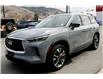 2025 Infiniti QX60 Luxe (Stk: UT2248) in Kamloops - Image 1 of 21