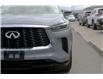2025 Infiniti QX60 Luxe (Stk: UT2248) in Kamloops - Image 10 of 21