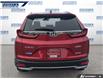 2020 Honda CR-V Touring (Stk: P7459A) in Dartmouth - Image 5 of 24
