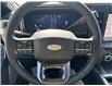 2026 Ford F-350 Platinum (Stk: 6T087) in Williams Lake - Image 13 of 13