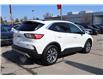 2021 Ford Escape Titanium Hybrid (Stk: 2214492AA) in Mississauga - Image 4 of 33