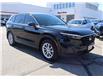 2023 Honda CR-V EX-L (Stk: 2214563A) in Mississauga - Image 7 of 31