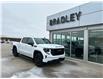 2025 GMC Sierra 1500 Elevation (Stk: 26134A) in Moosomin - Image 1 of 11