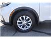 2025 Honda CR-V LX (Stk: 2214654A) in Mississauga - Image 10 of 25