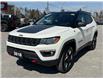 2018 Jeep Compass Trailhawk (Stk: W9408) in Uxbridge - Image 3 of 21
