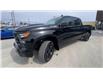 2024 Chevrolet Silverado 1500 Custom Trail Boss (Stk: 26112) in Sudbury - Image 4 of 24