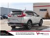 2017 Honda CR-V Touring (Stk: B9080) in Calgary - Image 11 of 31