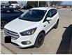 2019 Ford Escape SE (Stk: D5S185A) in Oakville - Image 6 of 11
