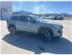 2021 Toyota RAV4 Trail (Stk: W203979M) in Cranbrook - Image 7 of 18