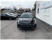 2024 Toyota Corolla Hybrid  (Stk: 260382) in Ottawa - Image 7 of 21