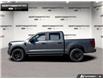 2026 Ford F-150 STX (Stk: 6F153887) in Brantford - Image 3 of 23