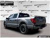 2026 Ford F-150 STX (Stk: 6F153887) in Brantford - Image 4 of 23
