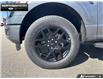 2026 Ford F-150 STX (Stk: 6F153887) in Brantford - Image 6 of 23