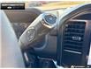 2026 Ford F-150 STX (Stk: 6F153887) in Brantford - Image 16 of 23