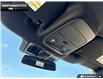 2026 Ford F-150 XLT (Stk: 6F128784) in Brantford - Image 19 of 23