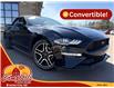 2019 Ford Mustang EcoBoost Premium (Stk: A-164438) in Moncton - Image 1 of 20