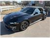 2019 Ford Mustang EcoBoost Premium (Stk: A-164438) in Moncton - Image 3 of 20 2019 Ford Mustang EcoBoost Premium (Stk: A-164438) in Moncton - Image 3 of 20