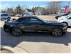 2019 Ford Mustang EcoBoost Premium (Stk: A-164438) in Moncton - Image 8 of 20 2019 Ford Mustang EcoBoost Premium (Stk: A-164438) in Moncton - Image 8 of 20