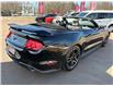 2019 Ford Mustang EcoBoost Premium (Stk: A-164438) in Moncton - Image 6 of 20 2019 Ford Mustang EcoBoost Premium (Stk: A-164438) in Moncton - Image 6 of 20