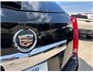 2013 Cadillac SRX Base (Stk: TD625704) in Caledonia - Image 12 of 52