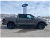 2026 Ford F-150 Tremor (Stk: T48555) in Hague - Image 1 of 14