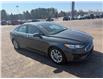 2019 Ford Fusion SE (Stk: 24803) in Pembroke - Image 4 of 5