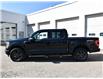2022 Ford F-150 XLT (Stk: F62187A) in GEORGETOWN - Image 3 of 27