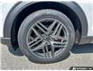 2026 Ford Explorer ST (Stk: OFL6L002) in Oakville - Image 6 of 24