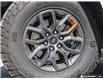 2025 Ford Expedition Tremor (Stk: P6550) in London - Image 6 of 26