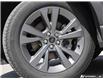 2025 Ford Explorer Active (Stk: P6565) in London - Image 6 of 26