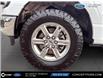 2024 Ford F-150 XLT (Stk: 03325) in GEORGETOWN - Image 7 of 19