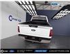 2024 Ford F-150 XLT (Stk: 03325) in GEORGETOWN - Image 16 of 19