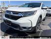 2019 Honda CR-V Touring (Stk: A2600802) in North York - Image 12 of 16