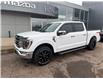 2021 Ford F-150 Lariat (Stk: 24789) in Pembroke - Image 3 of 38
