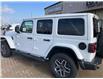 2024 Jeep Wrangler Sahara (Stk: 5B019A) in Blenheim - Image 2 of 15