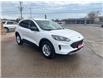2022 Ford Escape SE (Stk: 5B110A) in Blenheim - Image 3 of 11
