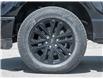 2026 Ford F-150 XLT (Stk: 26F8211) in Mississauga - Image 6 of 32