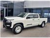 2024 Nissan Frontier Hardbody Edition (Stk: PV4384) in Cornwall - Image 1 of 26