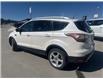 2017 Ford Escape Titanium (Stk: 5067623C) in Cranbrook - Image 3 of 16