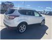 2017 Ford Escape Titanium (Stk: 5067623C) in Cranbrook - Image 6 of 16